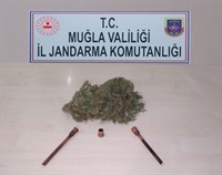operasyon